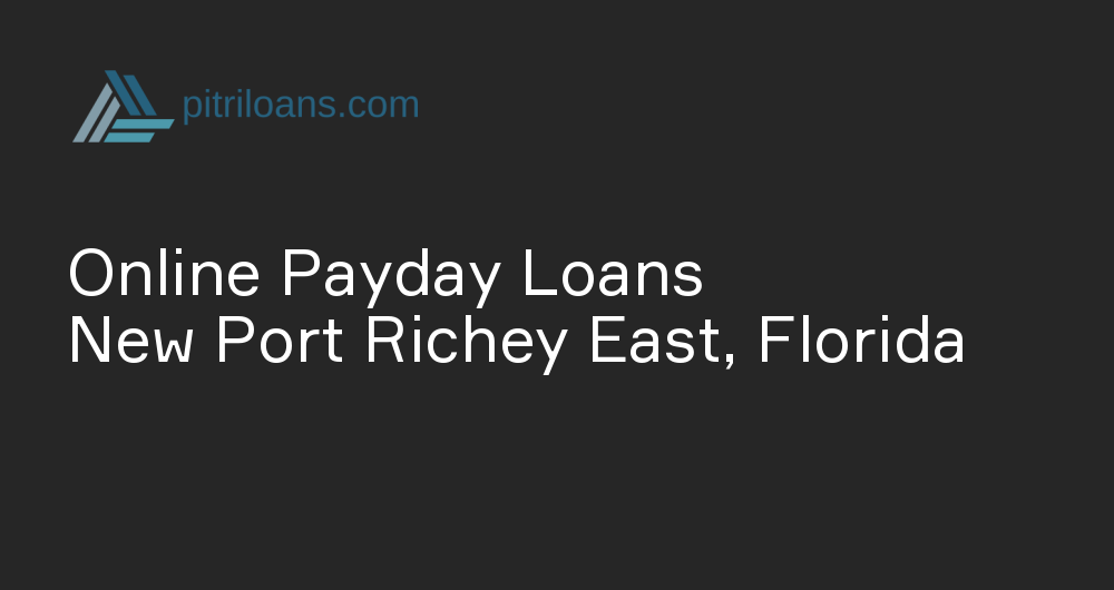 Online Payday Loans in New Port Richey East, Florida