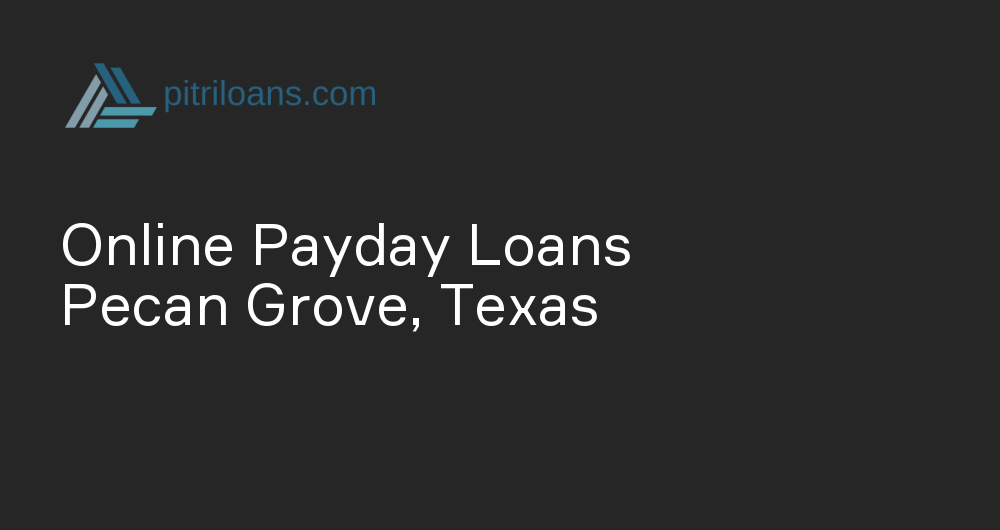 Online Payday Loans in Pecan Grove, Texas