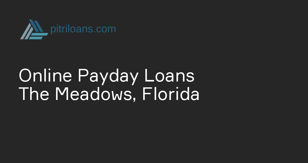 Online Payday Loans in The Meadows, Florida