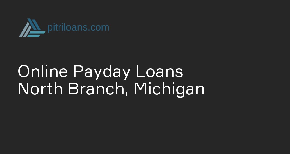 Online Payday Loans in North Branch, Michigan