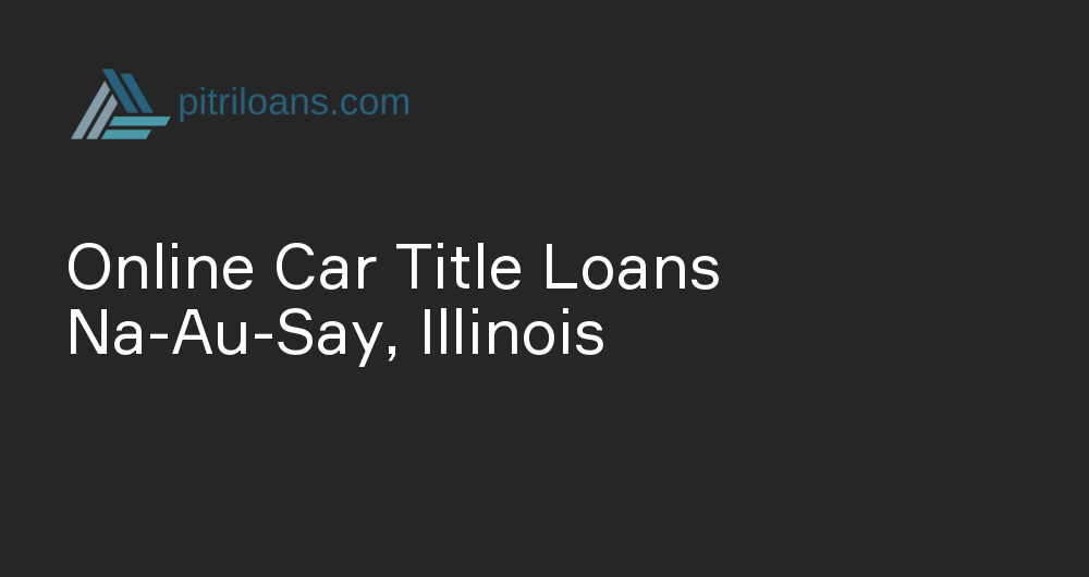 Online Car Title Loans in Na-Au-Say, Illinois