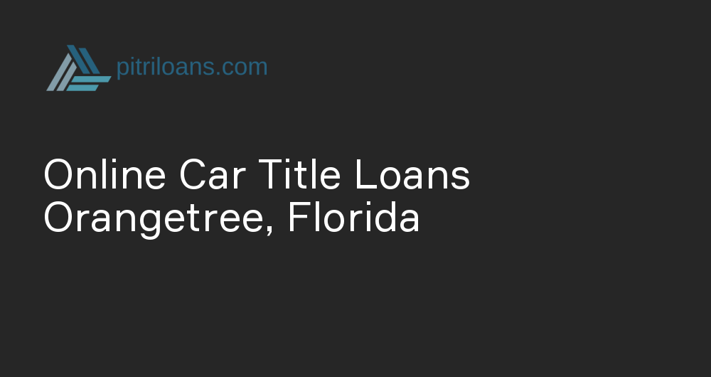 Online Car Title Loans in Orangetree, Florida