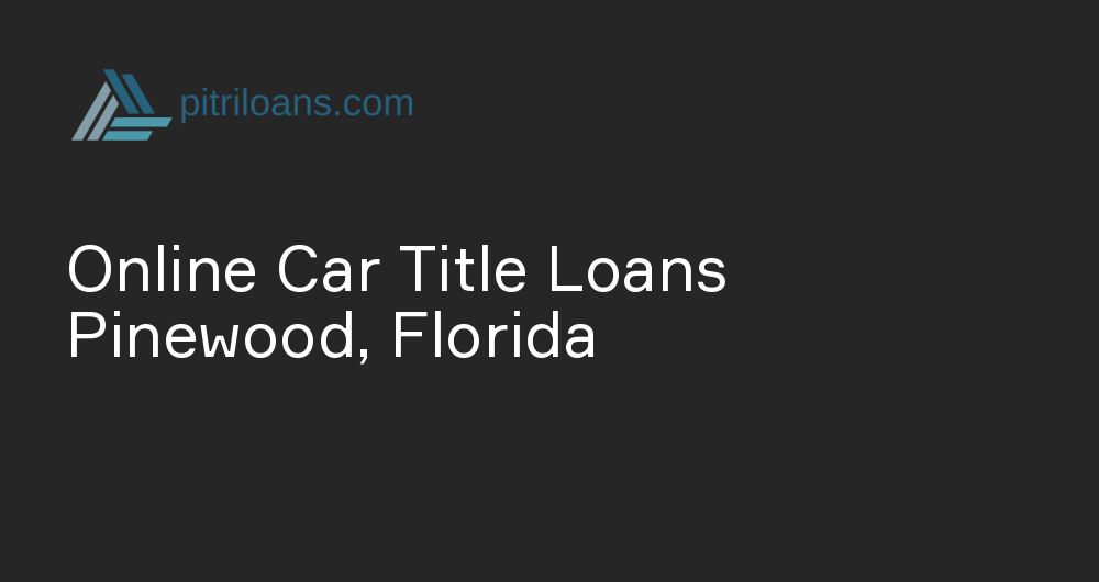 Online Car Title Loans in Pinewood, Florida