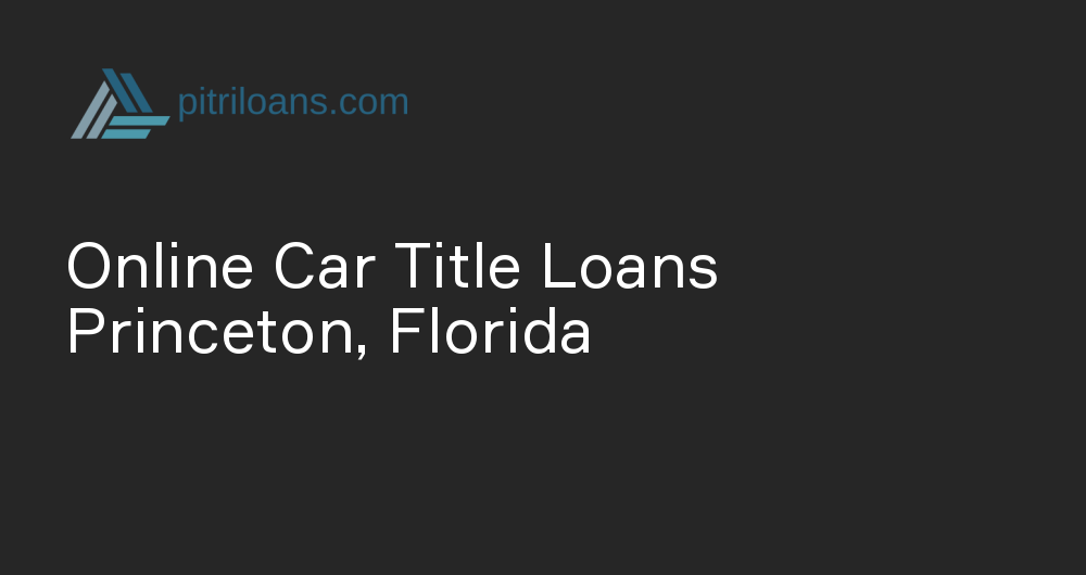 Online Car Title Loans in Princeton, Florida