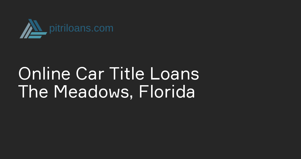 Online Car Title Loans in The Meadows, Florida