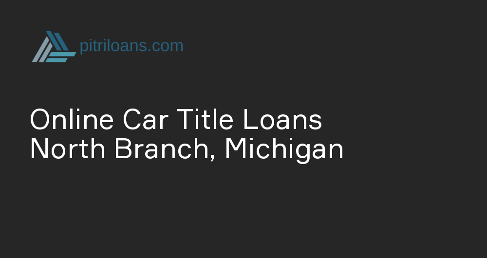 Online Car Title Loans in North Branch, Michigan