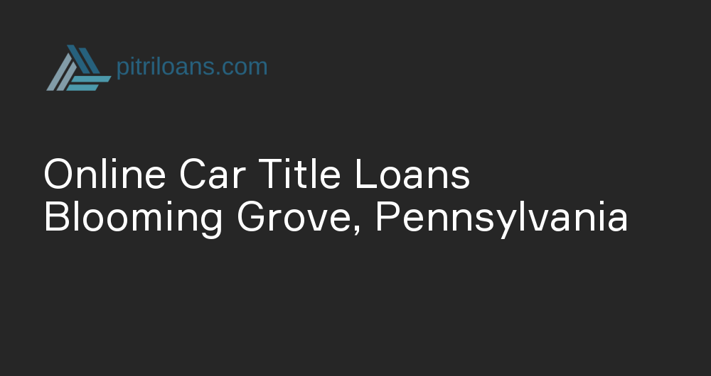 Online Car Title Loans in Blooming Grove, Pennsylvania