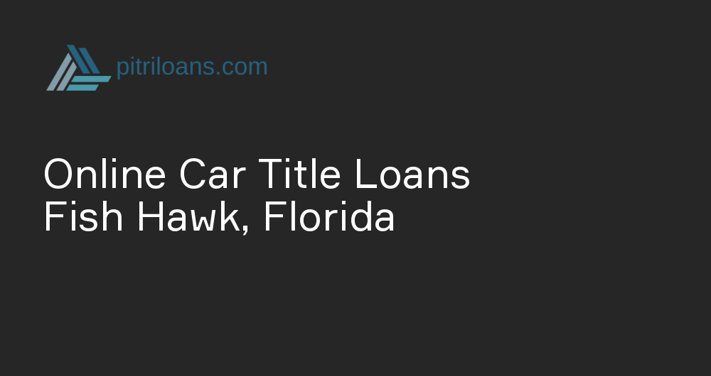 Online Car Title Loans in Fish Hawk, Florida